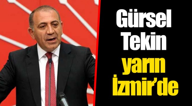 Gürsel Tekin yarın İzmir’de