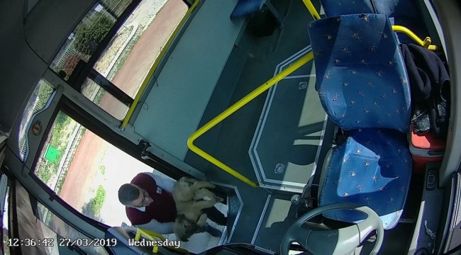 Halk otobüsü bu defa hayvan hastanesinin acil servisine direksiyon kırdı