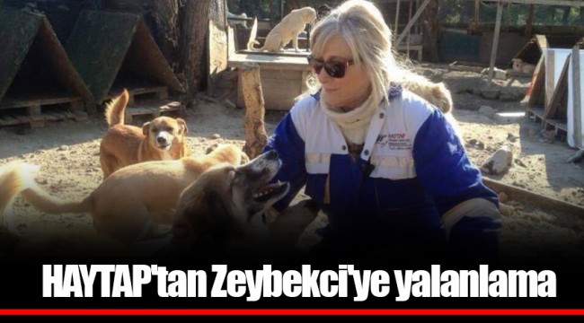 HAYTAP'tan Zeybekci'ye yalanlama