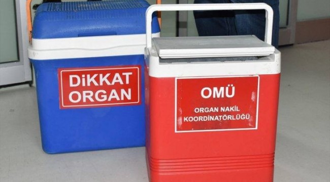 İntihar etti organları 4 hastaya umut oldu