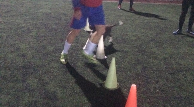 Isınması için içeri aldıkları köpek futbolcularla antrenman yaptı