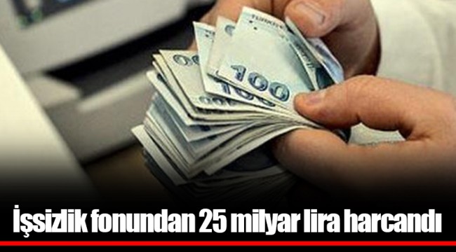 İşsizlik fonundan 25 milyar lira harcandı