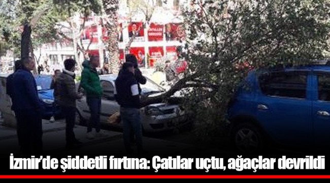 İzmir'de şiddetli fırtına: Çatılar uçtu, ağaçlar devrildi