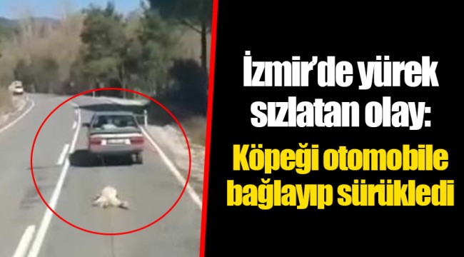 İzmir'de yürek sızlatan olay: Köpeği otomobile bağlayıp sürükledi