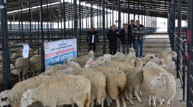 Kütahya’da Genç Çiftçilere 3 yılda 19 Milyon 410 bin TL hibe ödemesi