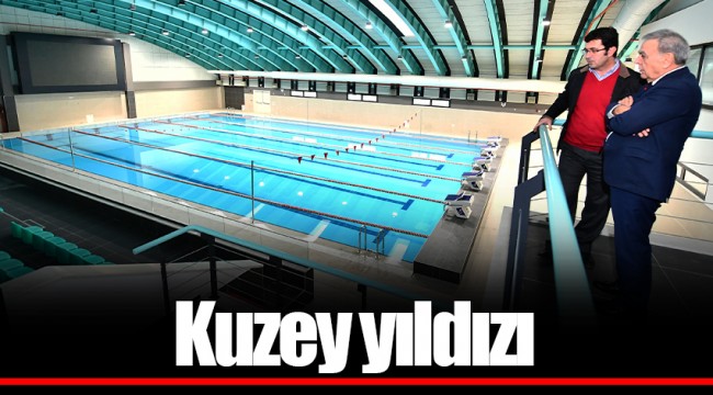 Kuzey yıldızı