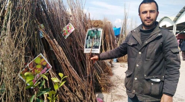 Meyve fidanı satışlarında durgunluk