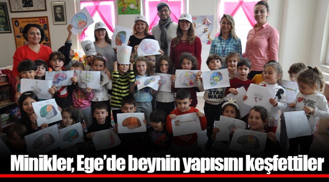 Minikler, Ege’de beynin yapısını keşfettiler