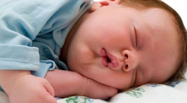 “Obezite, anne karnında başlayan hastalıktır”