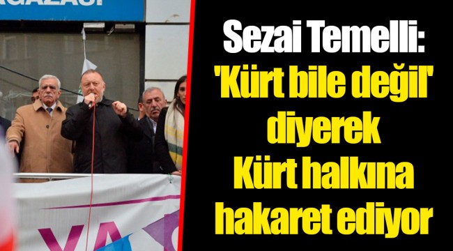 Sezai Temelli: 'Kürt bile değil' diyerek Kürt halkına hakaret ediyor