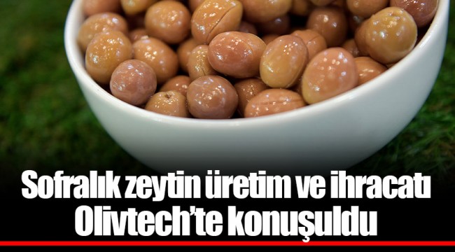 Sofralık zeytin üretim ve ihracatı Olivtech’te konuşuldu
