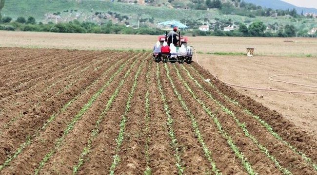 Tarım- ÜFE Şubat ayında yüzde 2,73 arttı