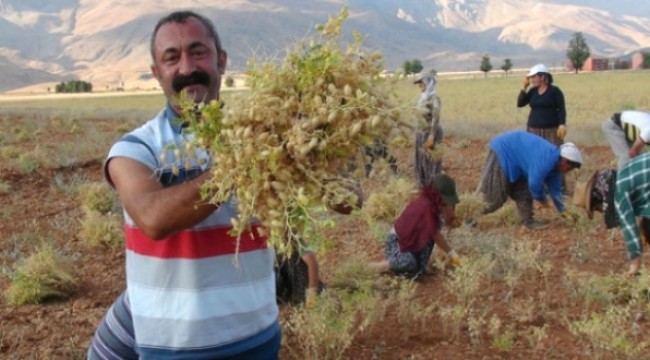 TKP ilk defa il belediyesi kazanıyor