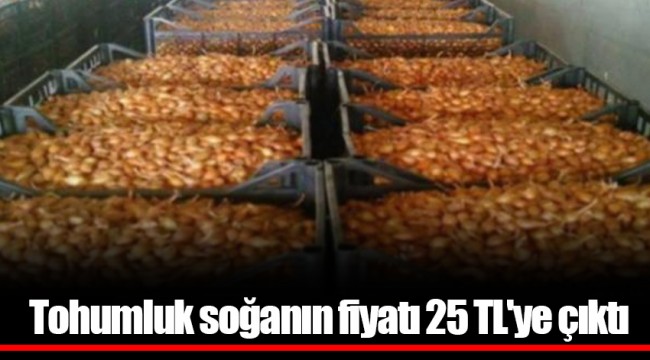 Tohumluk soğanın fiyatı 25 TL'ye çıktı