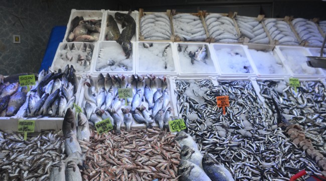 Türkiye dünyanın dörtte üçüne su ürünleri ihraç ediyor