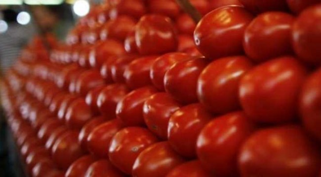 Ukrayna Türkiye’den ithal ettiği domatesleri yine almadı: Bu sefer 17 ton