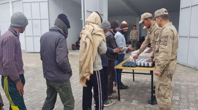 241 kaçak göçmen yakalandı
