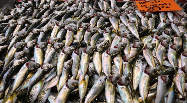 Av yasağına sayılı günler kala balık fiyatları arttı