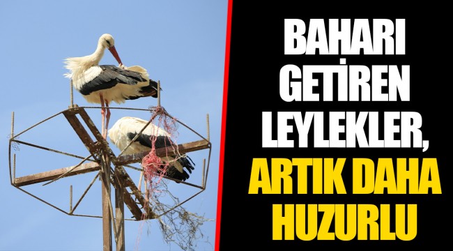 BAHARI GETİREN LEYLEKLER, ARTIK DAHA HUZURLU