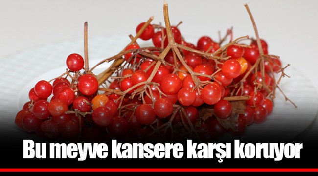Bu meyve kansere karşı koruyor
