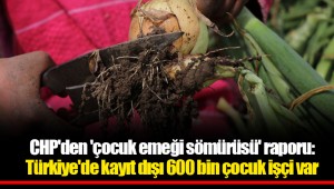 CHP'den 'çocuk emeği sömürüsü' raporu: Türkiye'de kayıt dışı 600 bin çocuk işçi var