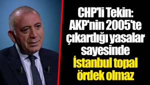 CHP'li Tekin: AKP'nin 2005'te çıkardığı yasalar sayesinde İstanbul topal ördek olmaz