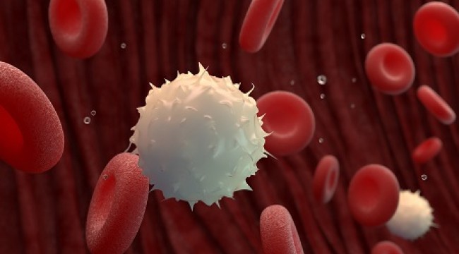 Dünyada her yıl 14 milyon kişi kansere yakalanıyor