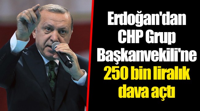 Erdoğan'dan CHP Grup Başkanvekili'ne 250 bin liralık dava açtı