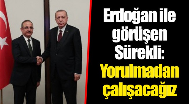 Erdoğan ile görüşen Sürekli: Yorulmadan çalışacağız 