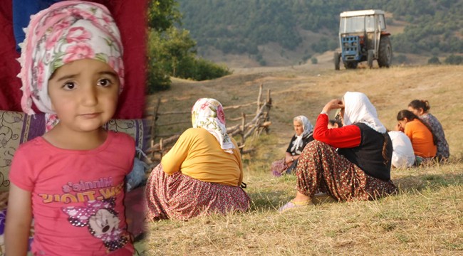 Evrim, 280 gündür kayıp