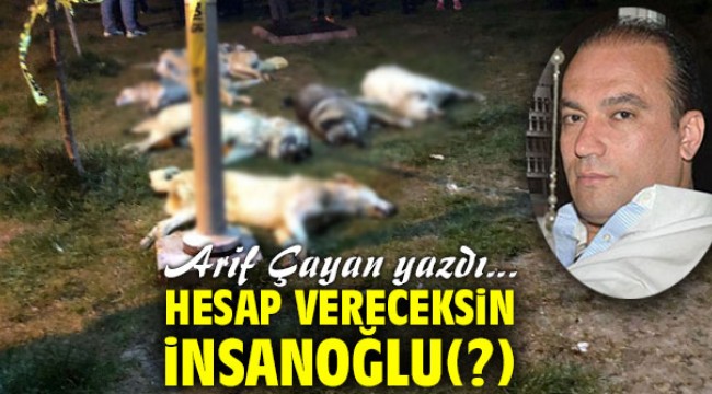 Hesap Vereceksin İnsanoğlu(?)