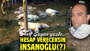 Hesap Vereceksin İnsanoğlu(?)