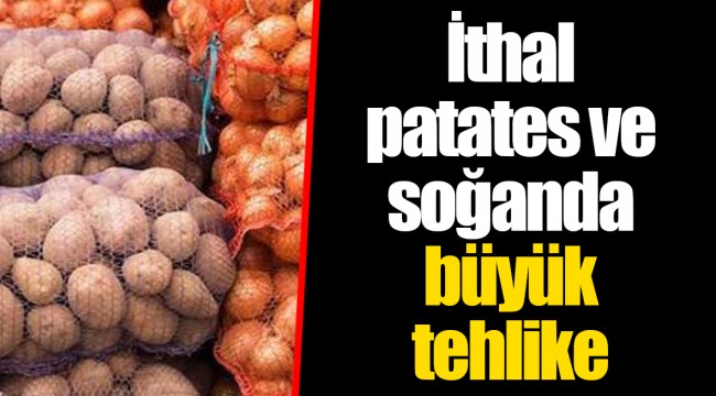 İthal patates ve soğanda   büyük tehlike