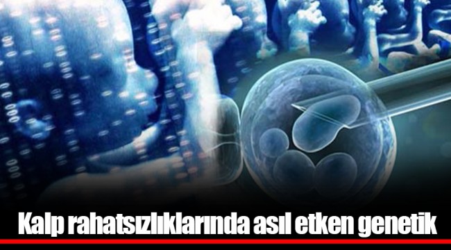 Kalp rahatsızlıklarında asıl etken genetik