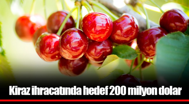Kiraz ihracatında hedef 200 milyon dolar