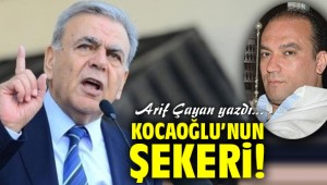 Kocaoğlu’nun Şekeri!