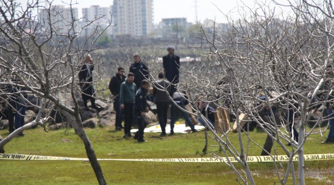 Koyun otlatan çobanlar tarlada mühimmat buldu