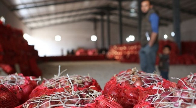 Kuru soğanda sıfır gümrük vergisinin süresi uzatıldı