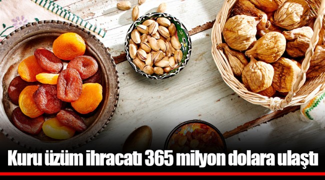 Kuru üzüm ihracatı 365 milyon dolara ulaştı