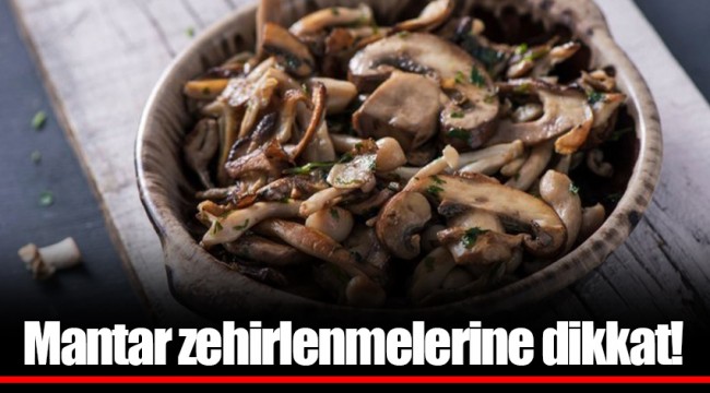 Mantar zehirlenmelerine dikkat!