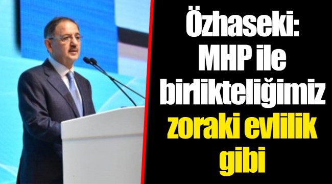 Özhaseki: MHP ile birlikteliğimiz zoraki evlilik gibi