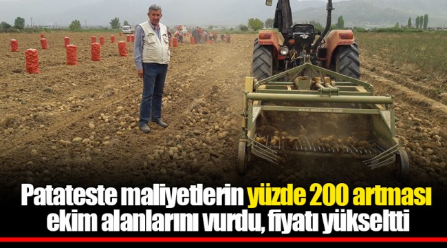 Patateste maliyetlerin yüzde 200 artması ekim alanlarını vurdu, fiyatı yükseltti