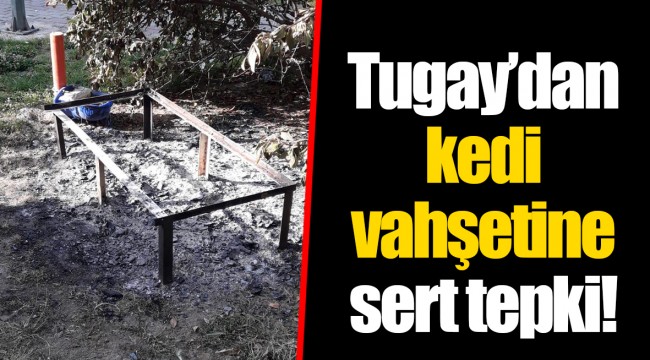 Tugay’dan kedi vahşetine sert tepki!