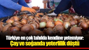 Türkiye en çok tahılda kendine yetemiyor: Çay ve soğanda yeterlilik düştü
