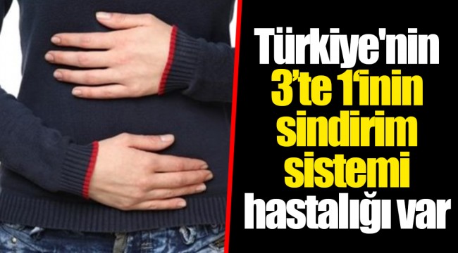 Türkiye'nin 3’te 1‘inin sindirim sistemi hastalığı var