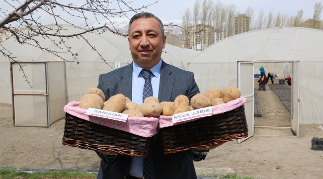 Türkiye’ye 2 milli patates çeşidi daha tescillendi