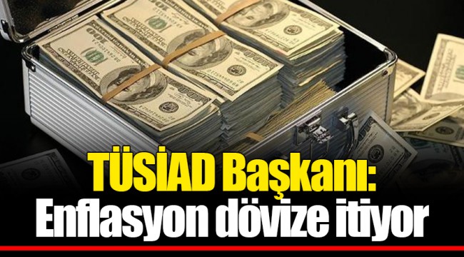 TÜSİAD Başkanı: Enflasyon dövize itiyor