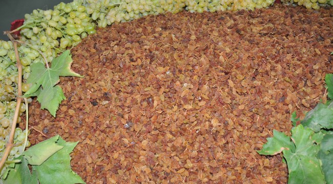 Üzüm üreticisine yaş ya da kuru tercihini erken yap çağrısı