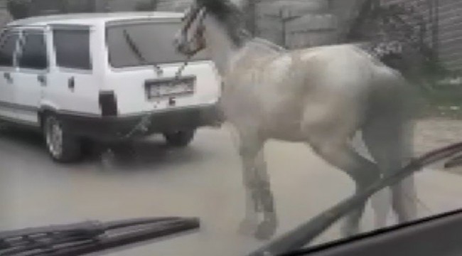 Vicdansız sürücü atını aracının arkasına bağlayıp ana yolda koşturdu