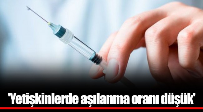 'Yetişkinlerde aşılanma oranı düşük'